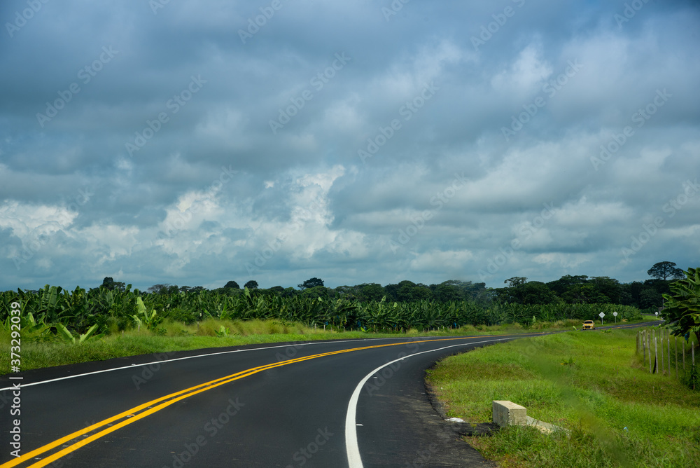 Curve in a two-lane road surrounded by a banana plantation. Colombia.