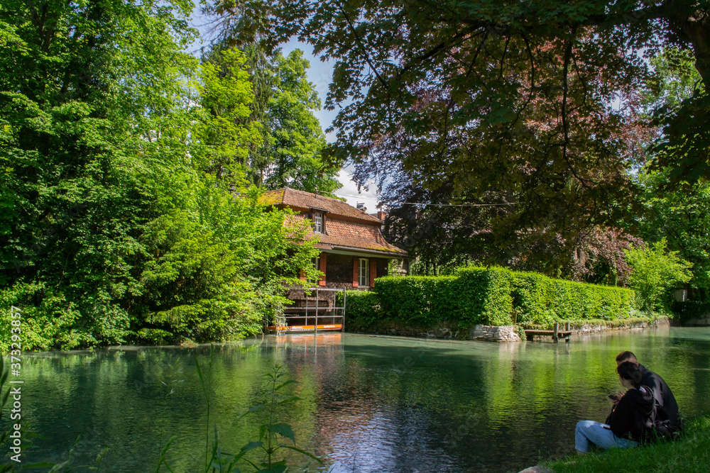 garden with a pond and a beautiful house in Switzerland garden with a pond and a beautiful house in Switzerland