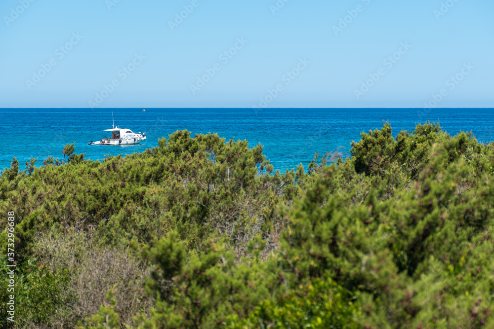 Juniper trees and shrubs with Mediterranean blue sea and boats on the background 