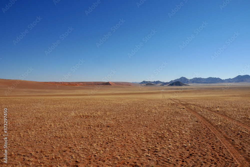 A set of tracks of an adventurer over the desolation of the endless Haiber flats in the Namib Desert 