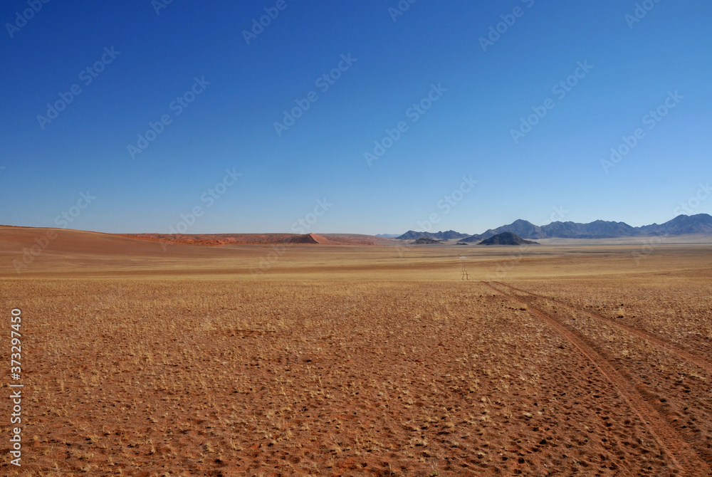 A set of tracks of an adventurer over the desolation of the endless Haiber flats in the Namib Desert A set of tracks of an adventurer over the desolation of the endless Haiber flats in the Namib Desert