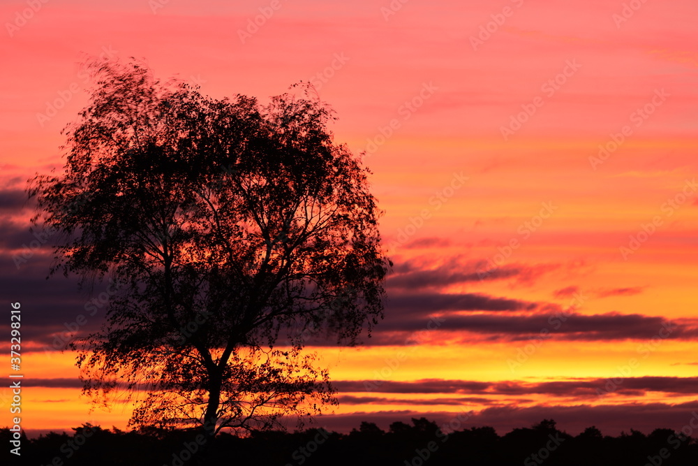 Beautiful colorful sunrise, with red and orange colors in the nature reserve.