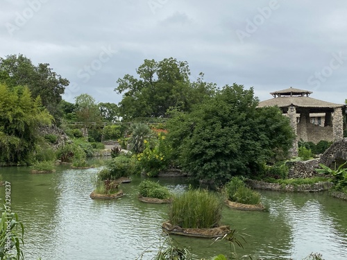 Tea Garden (large)