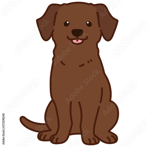 Outlined chocolate Labrador sitting front view