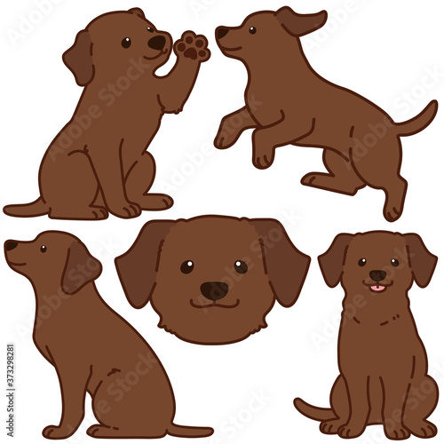 Outlined chocolate Labrador illustrations set
