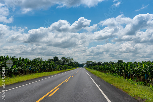 Two-lane asphalt road with banana plantations on both sides. Colombia.