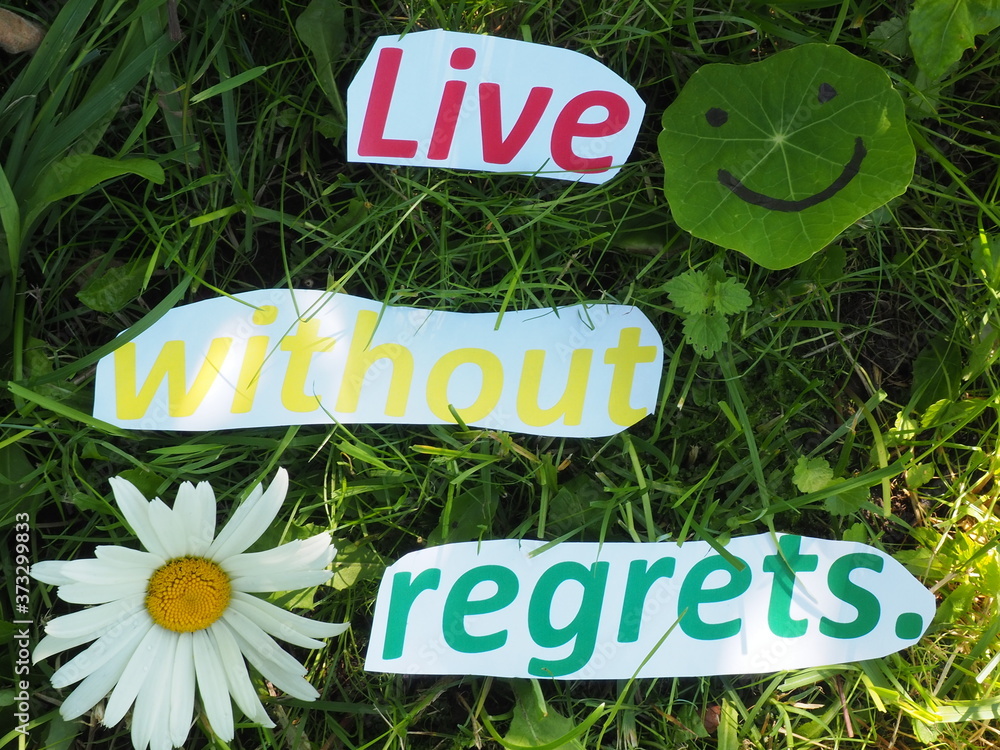 English proverb. cut the words. Live without regrets