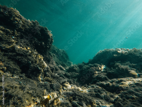 Unterwasserwelt Mittelmeer