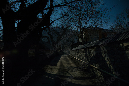 Full moon over quiet village at night. Beautiful night landscape of old town street with lights © zef art