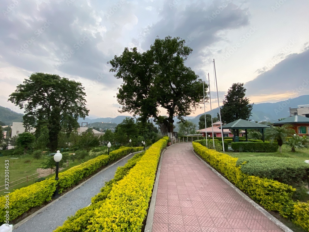 Fototapeta premium road in the park
