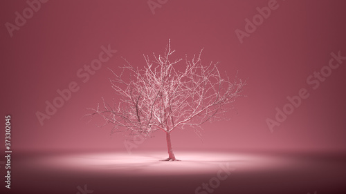 A Single dry old tree in monochrome pink color environment, no leaf, 3d rendering © markOfshell