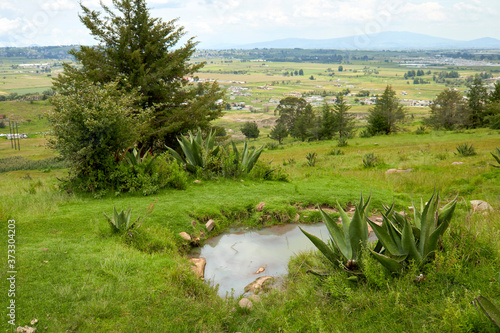 Paisaje con árboles y agua