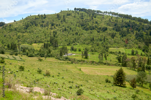 Vista de un valle verde