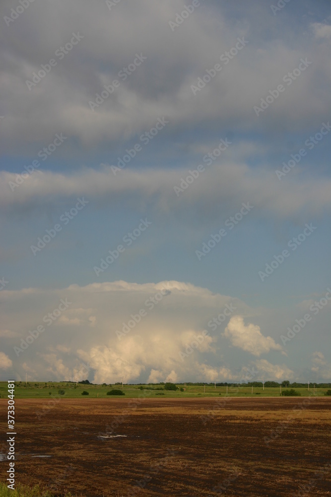 Naklejka premium agriculture landscape