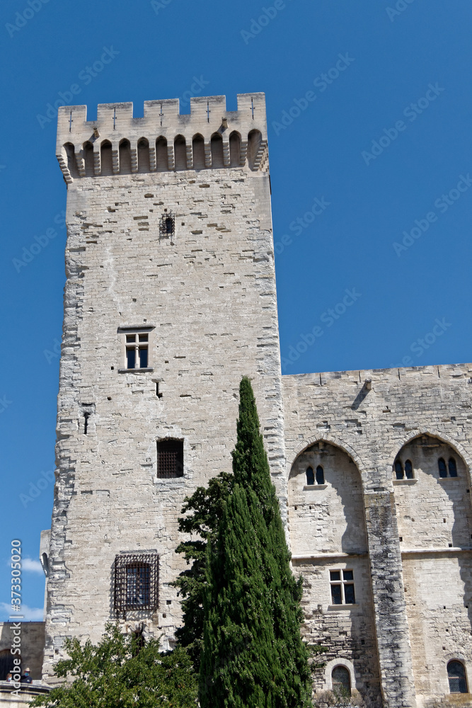 Tour aile gauche du palais des papes à, Avignon - France