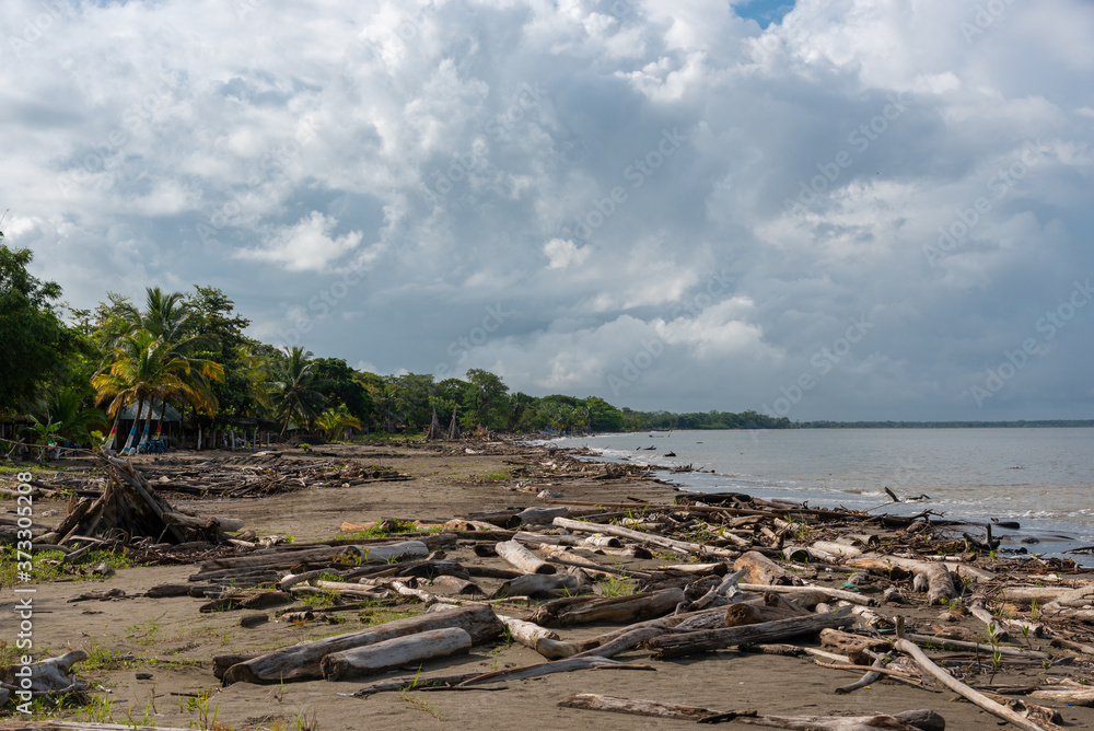 Beach in Uraba where the current of the sea carries waste from the rivers with wood trunks and plasters. Colombia.