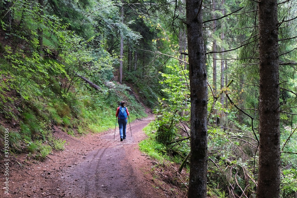 person in forest person in forest