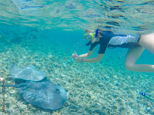 Breathtaking shot of an underwater landscape with tropical fishes and diver in Caye Caulker island