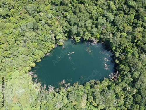 green lake in the forest, ojo de mar, Paraguay