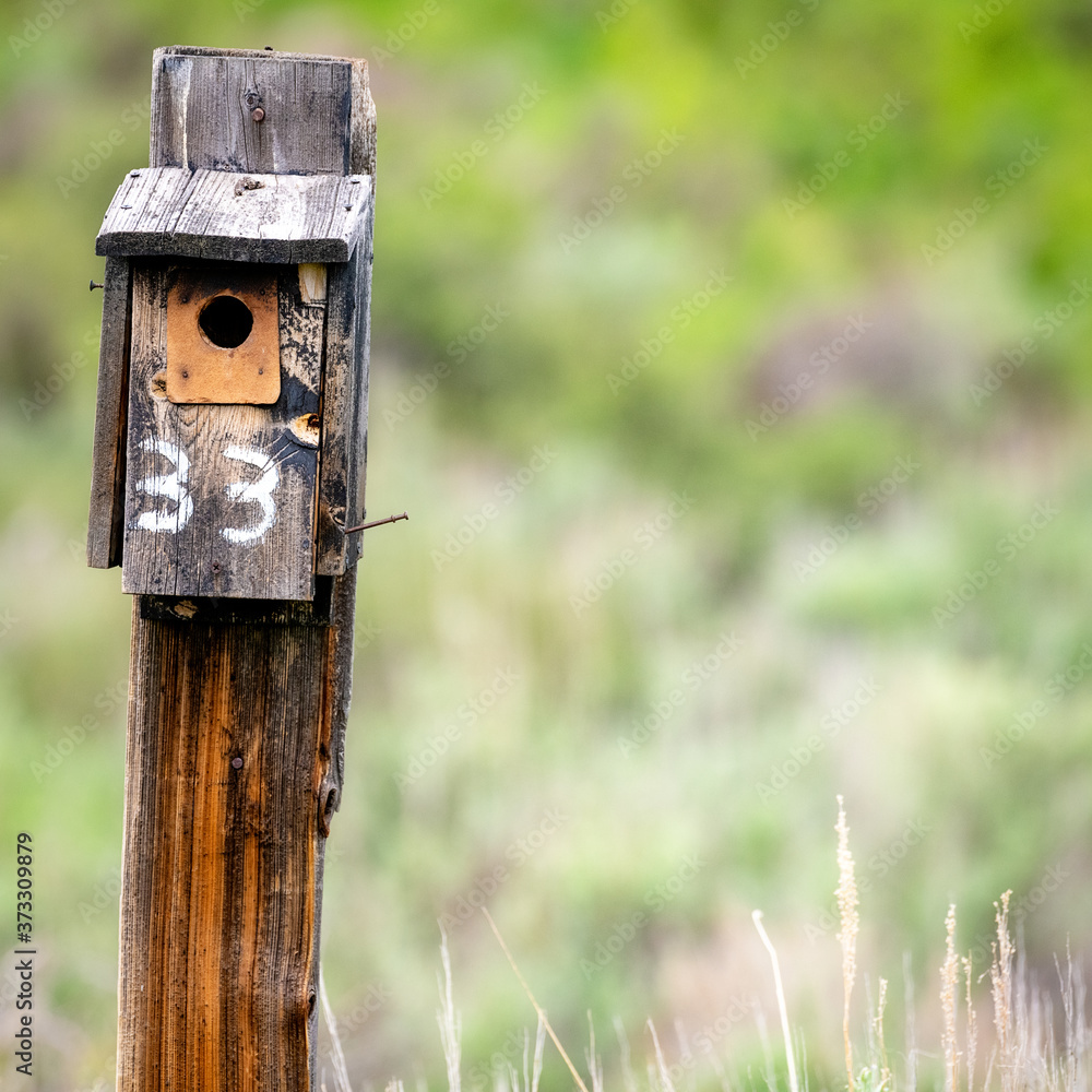 Numbered mountain bluebird wooden house in rural Idaho