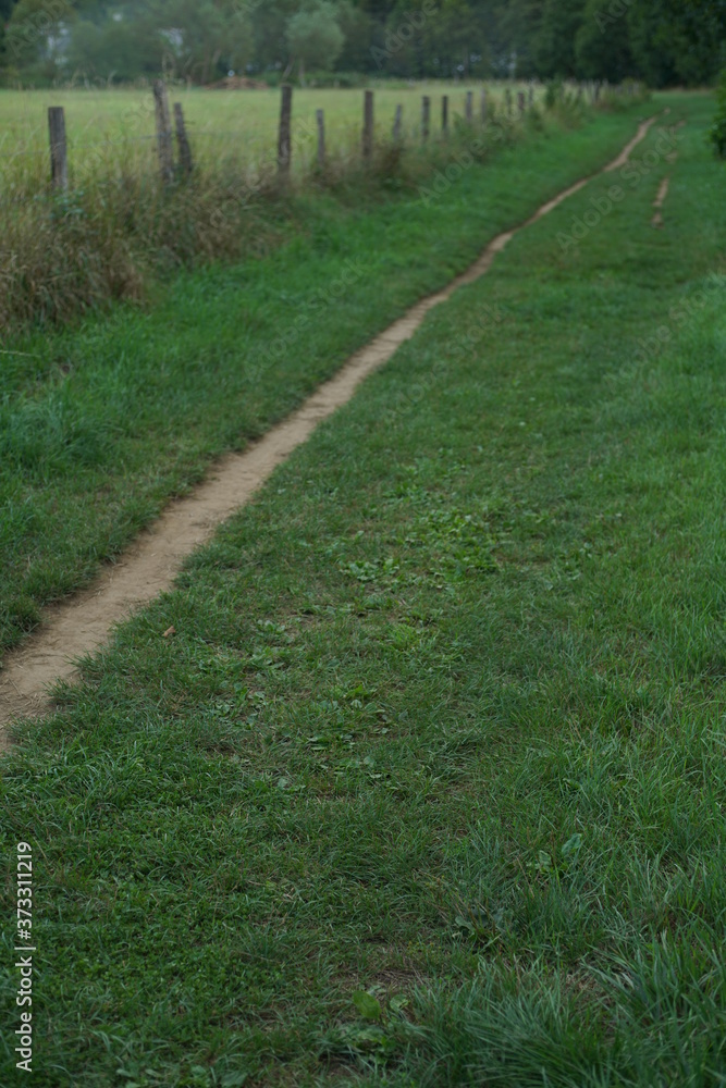 Pfad oder Weg für die Landwirtschaft mit viel Gras und einigen Fahrspuren Pfad oder Weg für die Landwirtschaft mit viel Gras und einigen Fahrspuren
