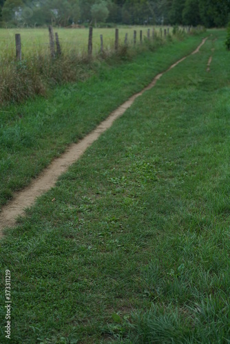Pfad oder Weg für die Landwirtschaft mit viel Gras und einigen Fahrspuren