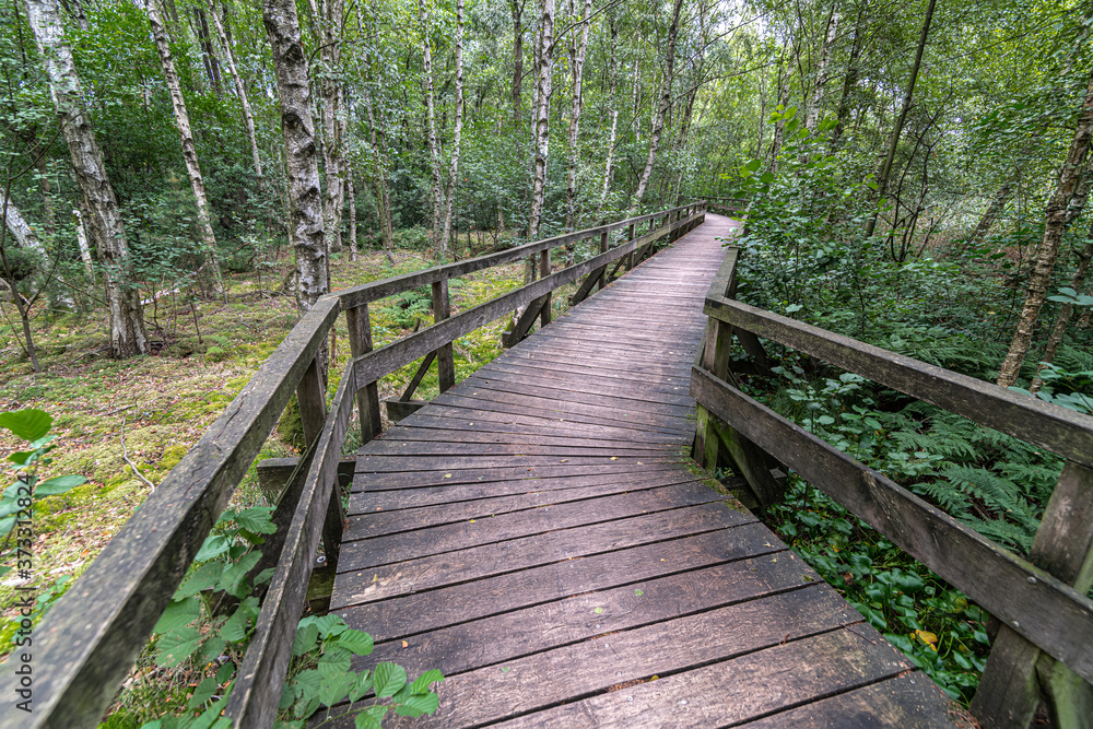 Wooden Walkway at the Uferweg, Steinhuder Meer, Germany Wooden Walkway at the Uferweg, Steinhuder Meer, Germany