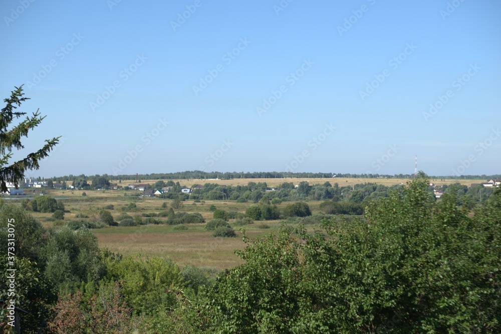 Panorama with trees and expanses of meadows in the distance