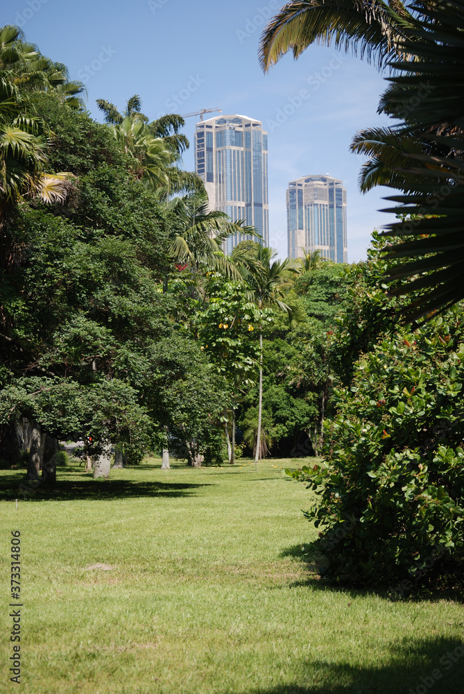 Jardin botanico de UCV , Caracas