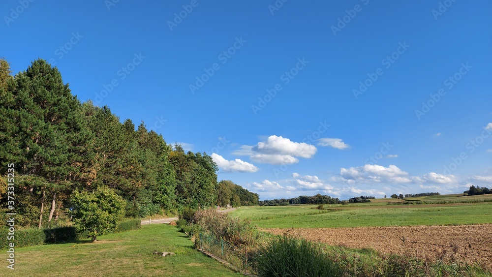 rural landscape in autumn,
Beautiful sky  with pine trees