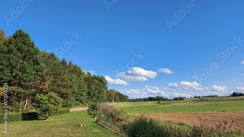 rural landscape in autumn,
Beautiful sky  with pine trees