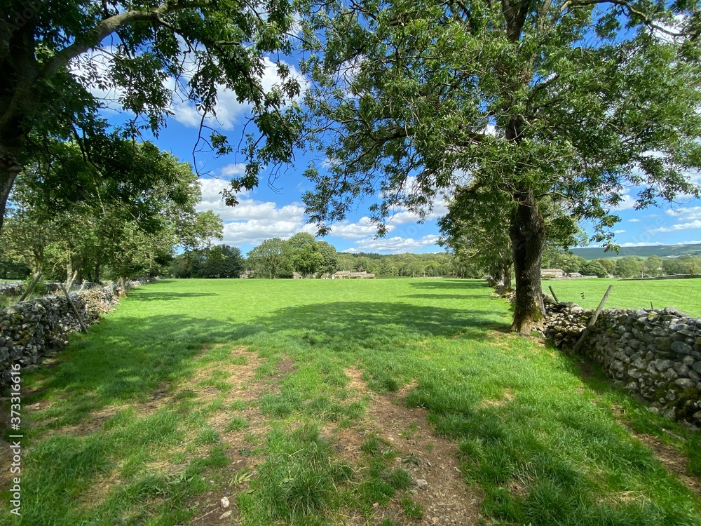 Entrance to a large meadow, with dry stone walls, trees, and farm houses in the distance near, Grassington, Skipton UK