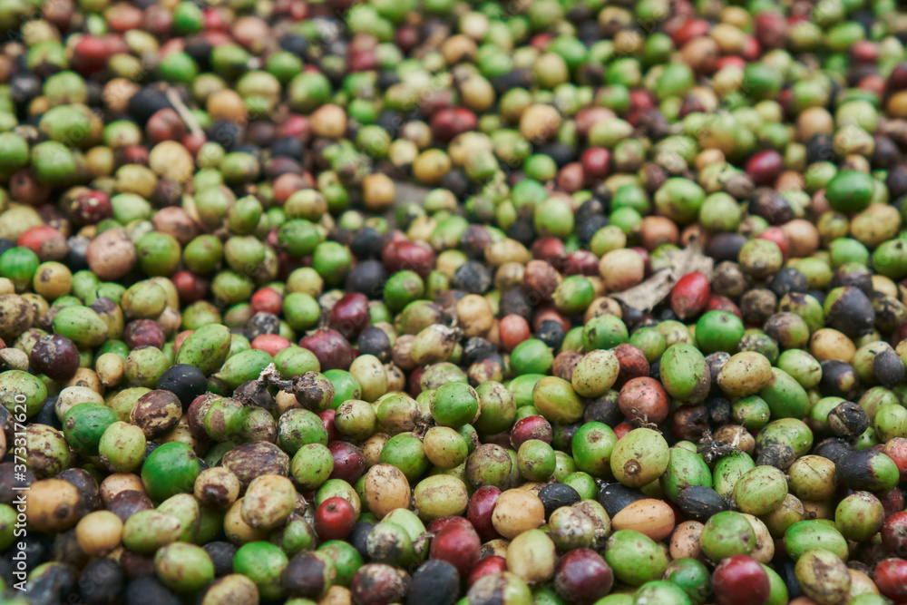 coffee beans of green, yellow, red and blue colours lying on the ground coffee beans of green, yellow, red and blue colours lying on the ground