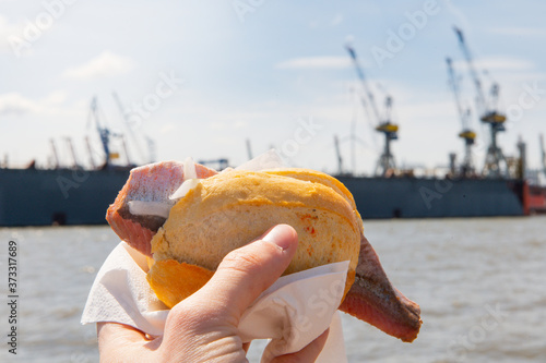 Matjes Fischbrötchen in hand in front of harbor cranes at the port of Hamburg at the Landungsbrücken in sunshine.