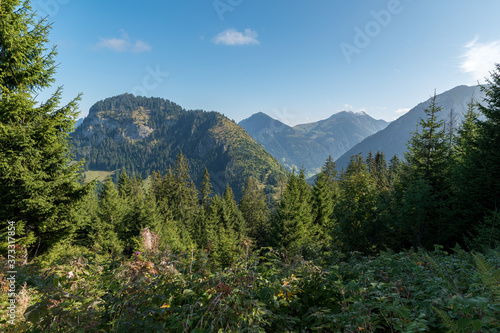 Bavarian Landscape in the summer with mountain and trees. 