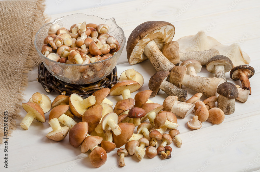 Fresh raw forest mushrooms on the table. Fresh raw forest mushrooms on the table.