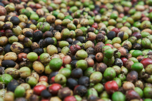 coffee beans of green, yellow, red and blue colours lying on the ground