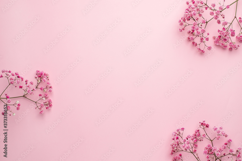 Pink Gypsophila flower on pastel background with copyspace Pink Gypsophila flower on pastel background with copyspace