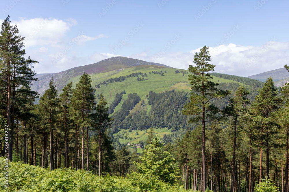 Mountain Irish landscape with trees and clouds.
Wicklow. Ireland Mountain Irish landscape with trees and clouds.
Wicklow. Ireland