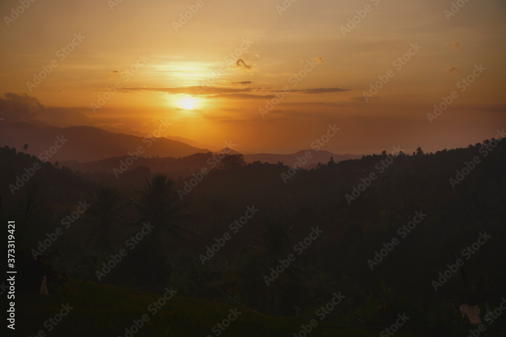 sunset above the rainforest with trees, handicaps and smoke