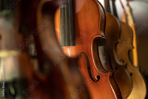 Close up view of violins music instrument.