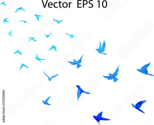 Watercolor flock of flying birds. Transparent background.

