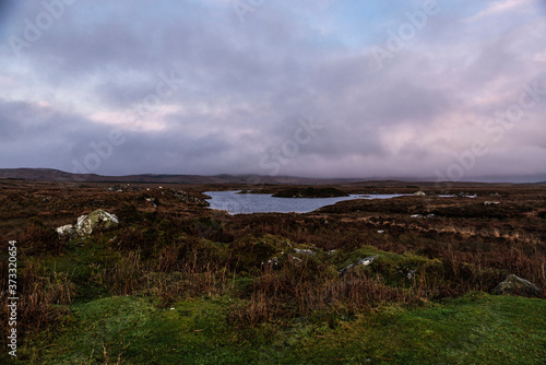Irish landscape of a meadow in Ireland