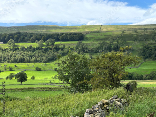 Landscape view, with dry stone walls, fields, long grasses, meadows and trees in, Bishopdale, Leyburn, UK photo