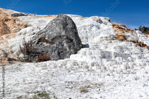 Canary Spring in Yellowstone National Park