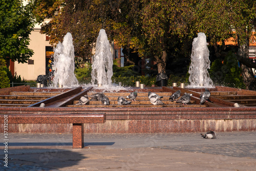 fontanna z gołębiami