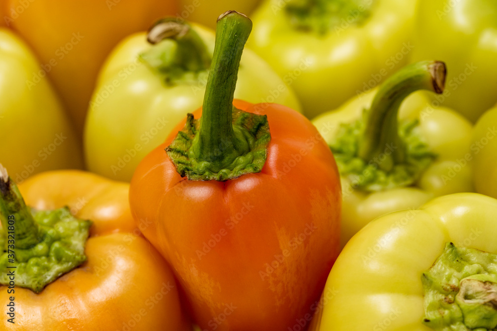 Close up of colorful fresh bell peppers background close up Close up of colorful fresh bell peppers background close up