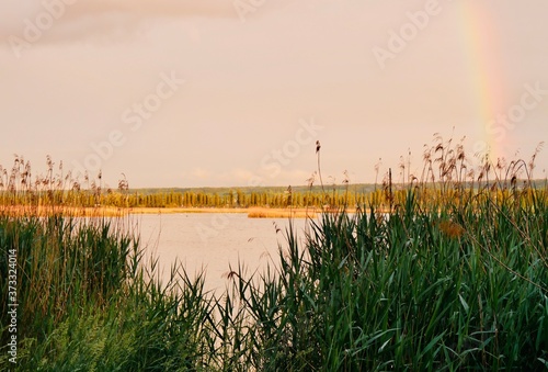 sunset over the river