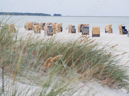 beach in the netherlands
