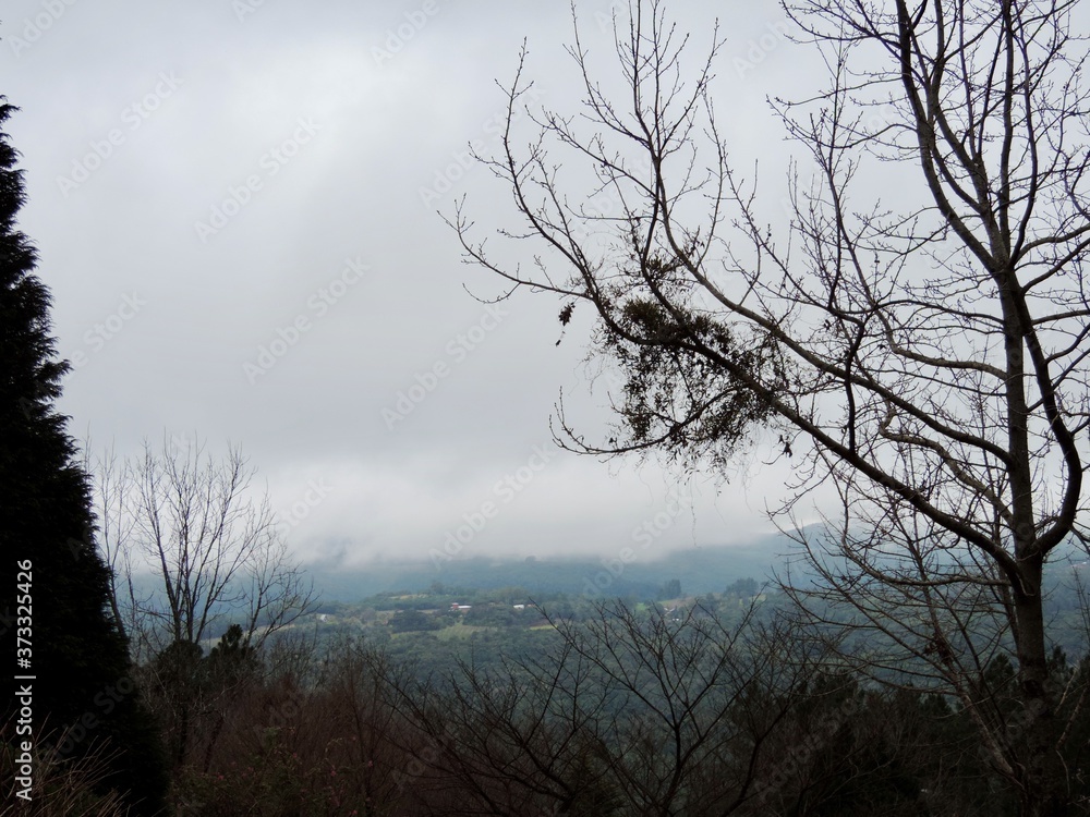 A foggy morning in the mountains